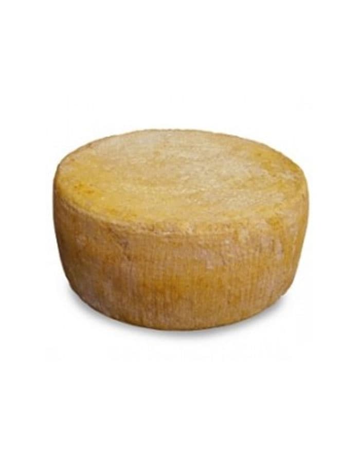 Queso Pecorino