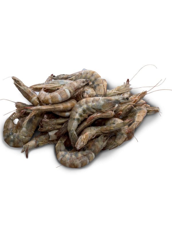 Camarones con Concha Kg