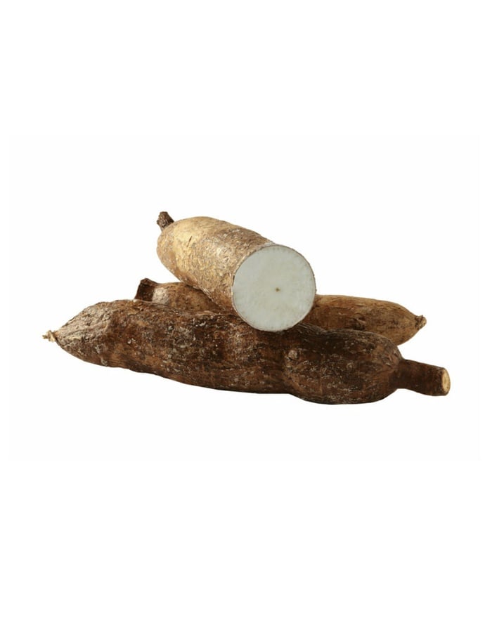 Yuca