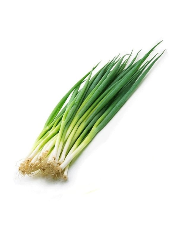 Cebollin