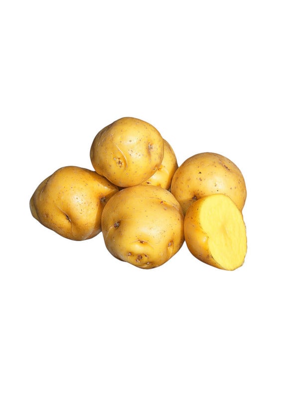 Papita colombiana