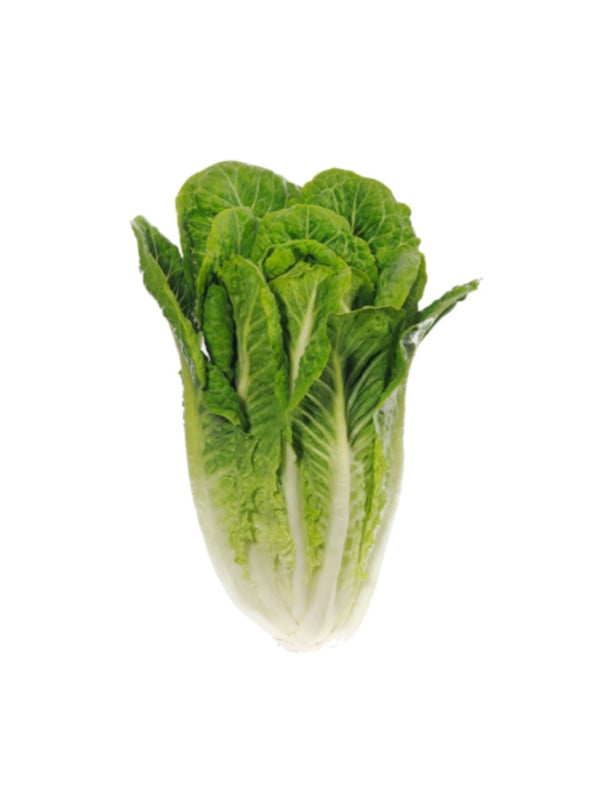 Lechuga Romana (Por Unidad)