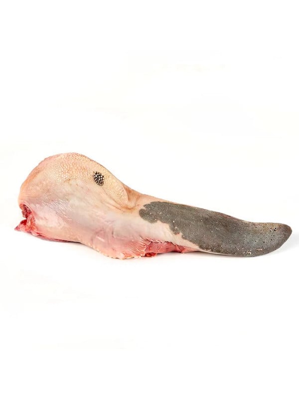 Lengua de Res