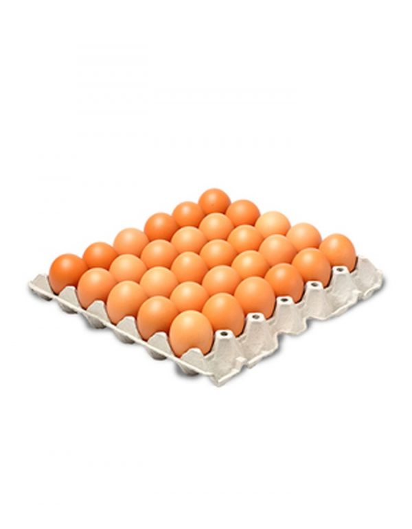 Huevos-30