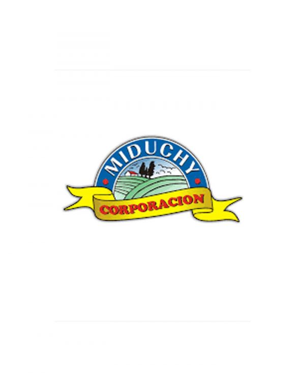 Logo-miduchi